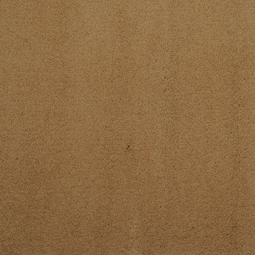 Masland Silk Touch - Torbay