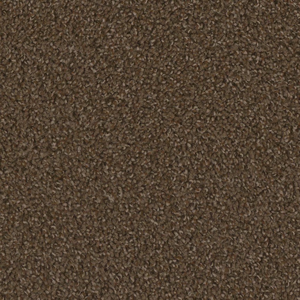 Dreamweaver SP250 - Boulder 552