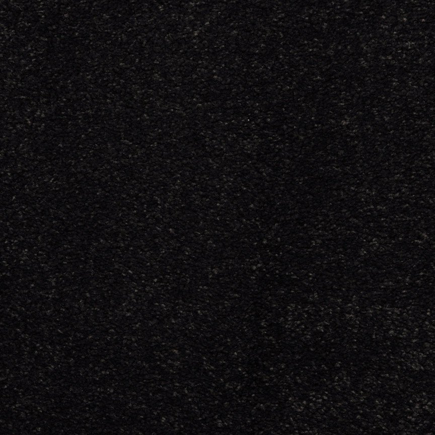 Masland Embrace - Black Bean