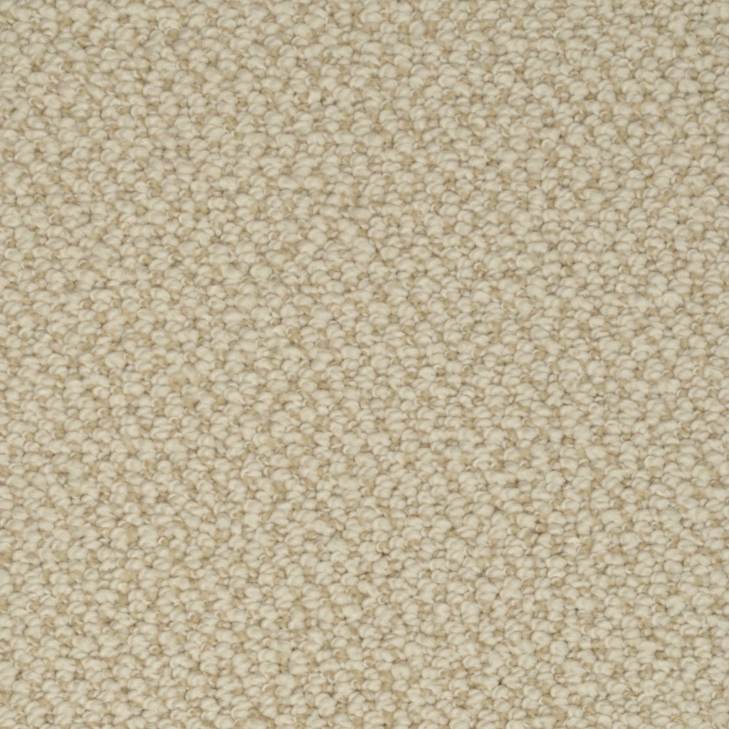 Dixie Home Authentic Living - Sponge