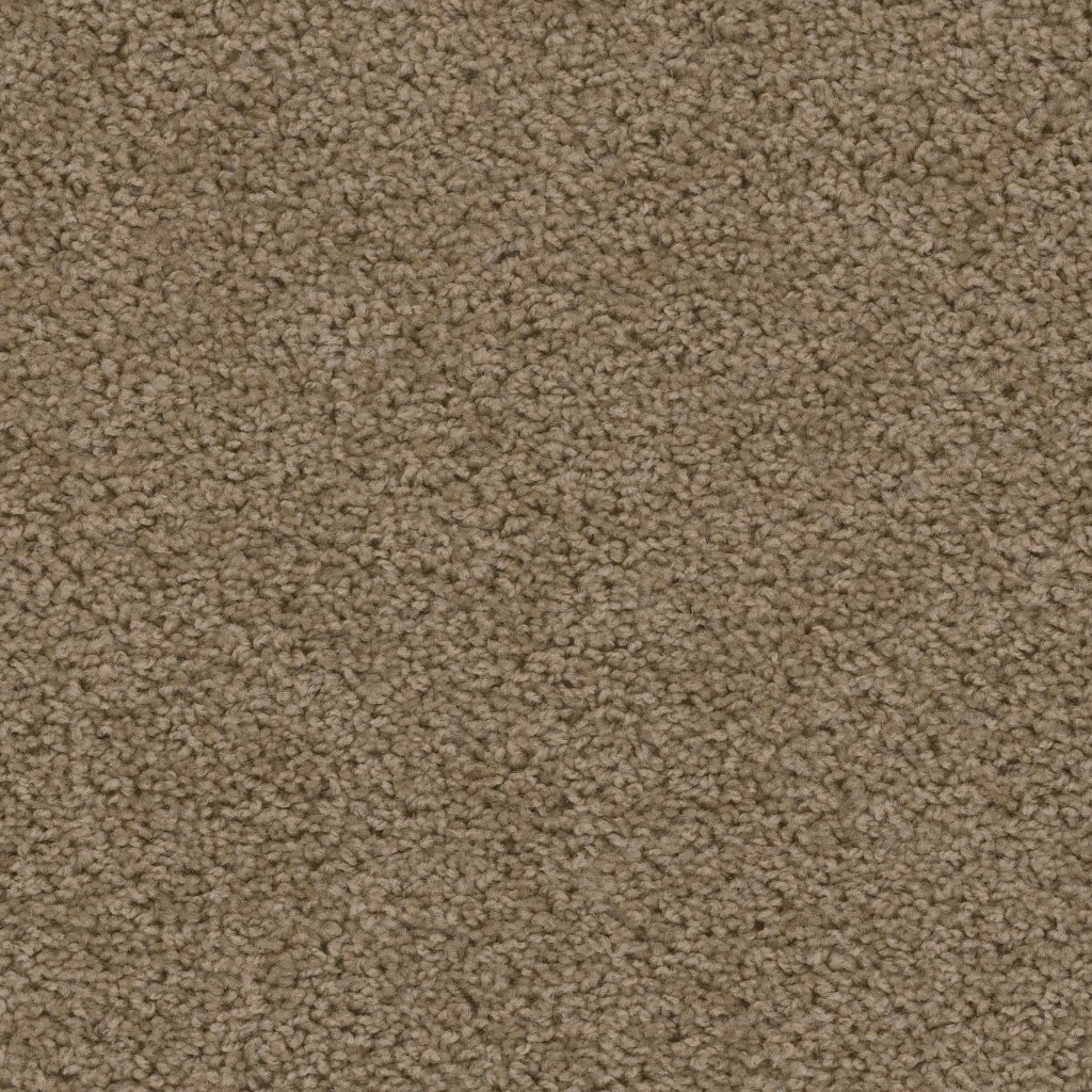 Dreamweaver SWEEPSTAKES - Honey Beige 510