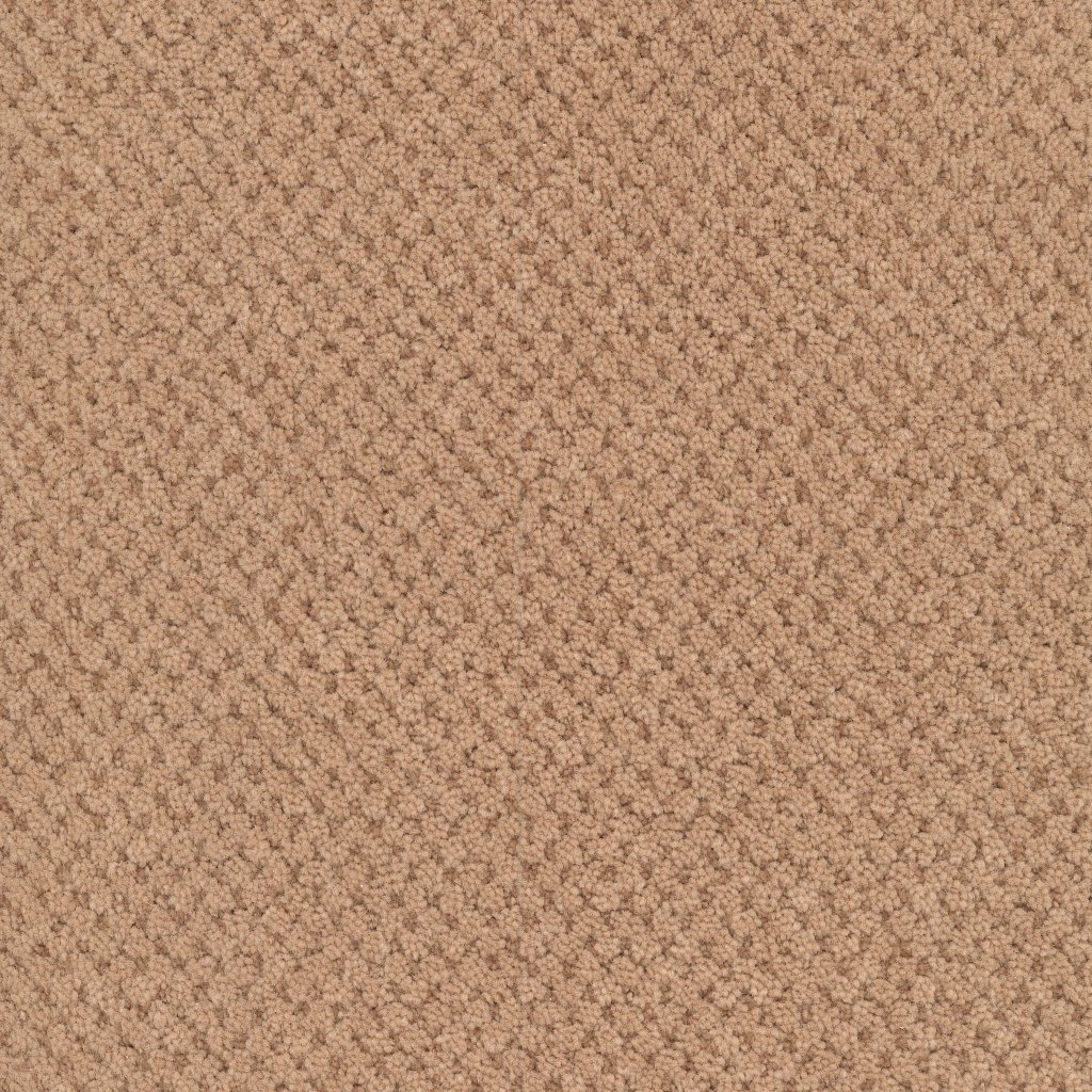 Masland La Parade - Terra Cotta