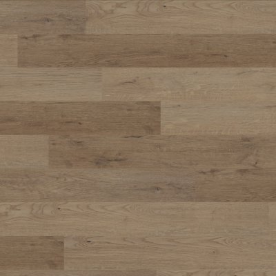 Canopy Reverie Oak - 7" x 5ft