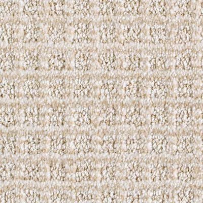 Karastan Equilibrium - Lace