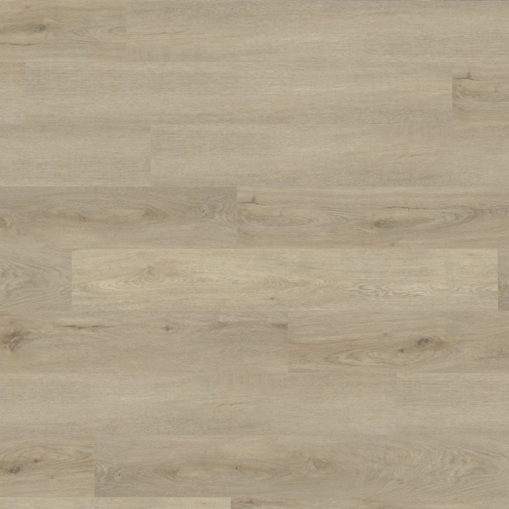 Canopy Market Oak