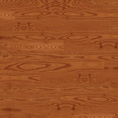 Robbins Butterscotch - 5"