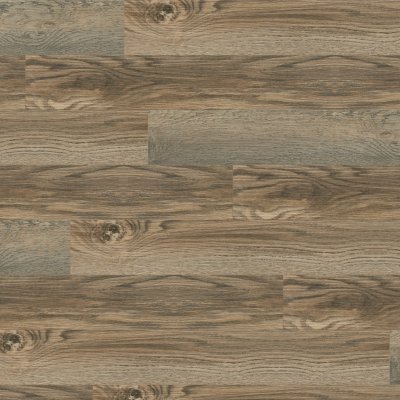 Robbins Owl Hill 7 7/8 in - 7.88" x 60"