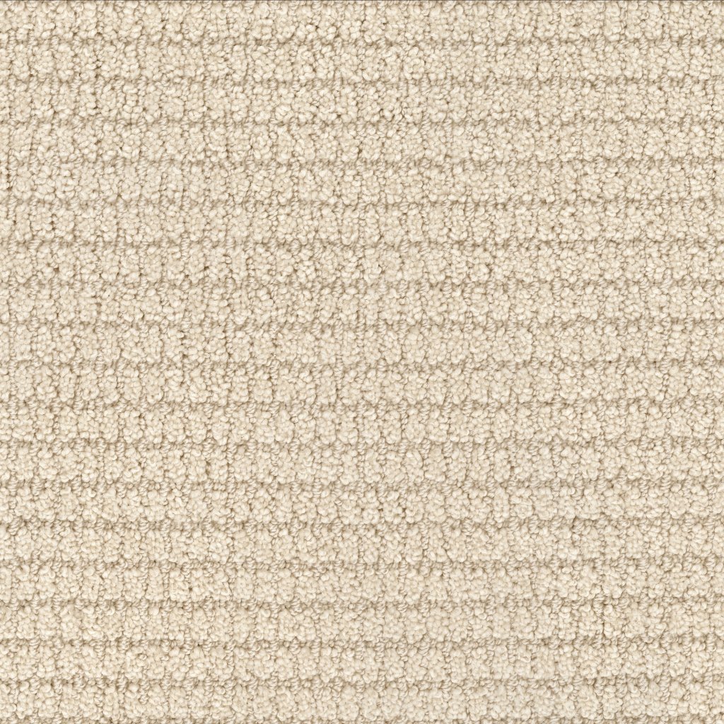 Masland Defined - Buff Beige