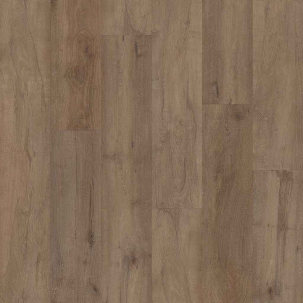 COREtec Pro Premium VV800 - Warwick Maple