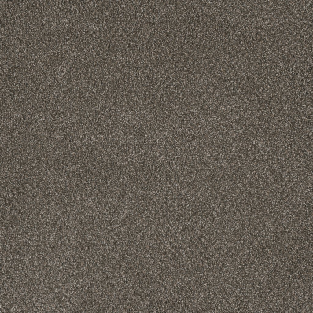 Dreamweaver MONTE CARLO II - Rugby 6112