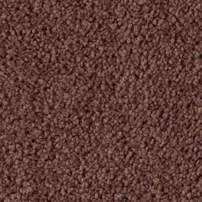 Karastan Soft Finesse - Perfection
