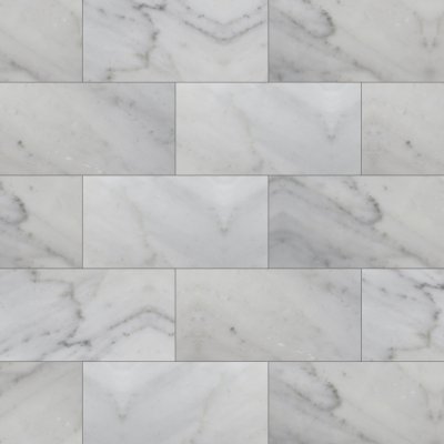 MSI Carrara White - Slab - 12" x 24"