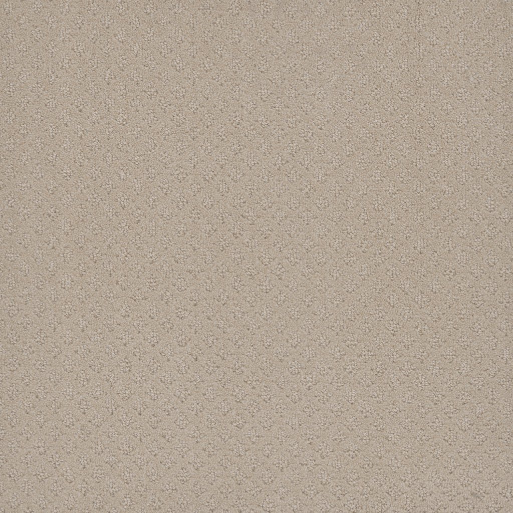 Dreamweaver CAPRI - Champagne Fizz 6309