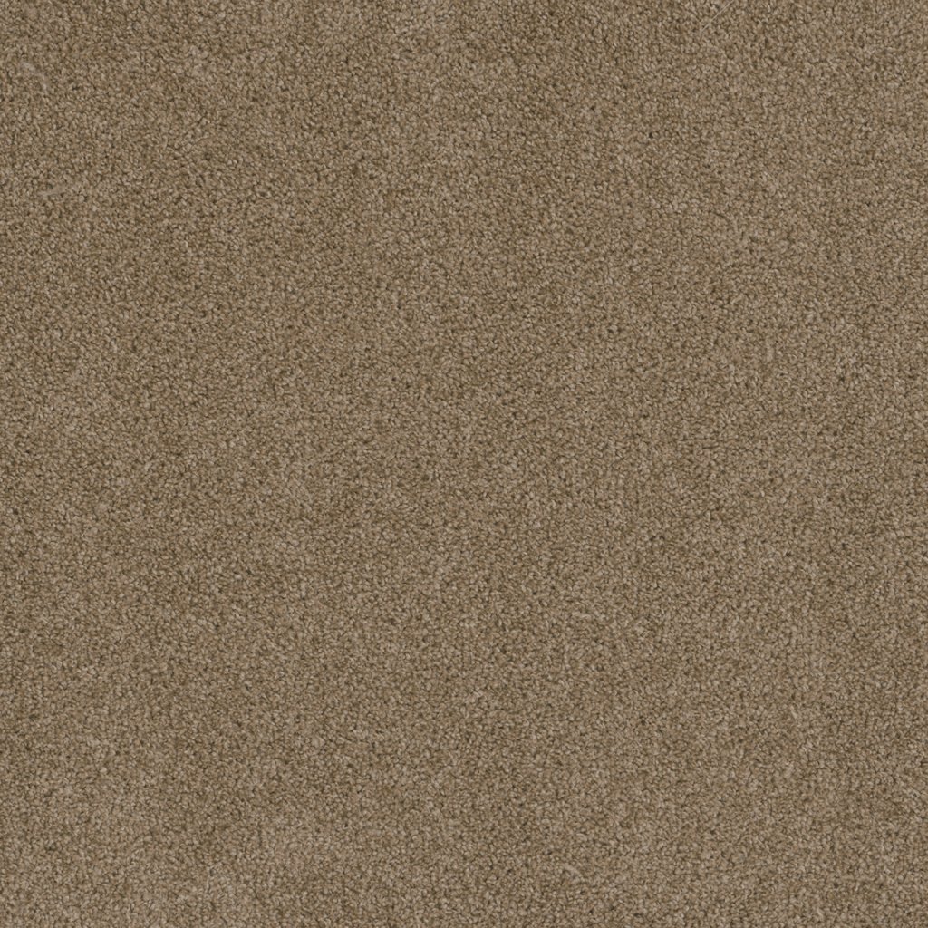 Dreamweaver SHOWTIME - Canyon Cliff 571