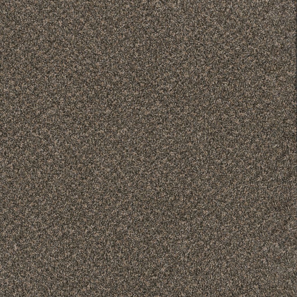 Dreamweaver TOAST OF THE TOWN - Wrought Iron 872