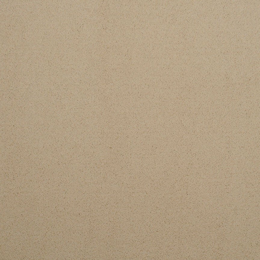 Masland Silk Touch - Biscotti