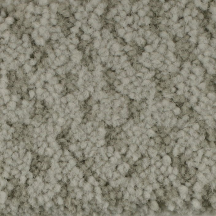 Masland Seurat - Ash