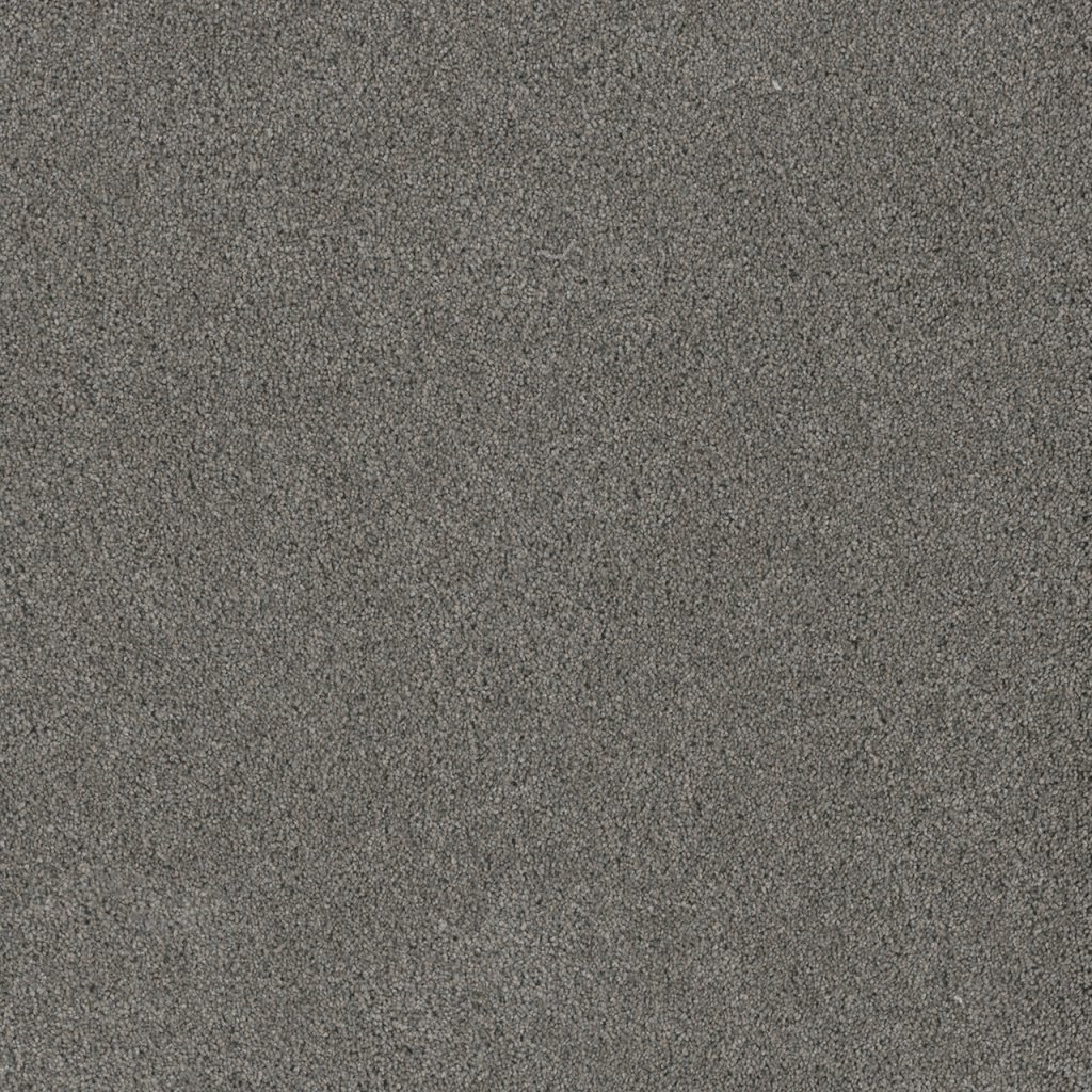 Dreamweaver STUNNING - Orion 955