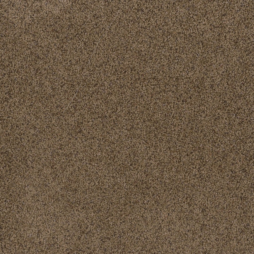 Dreamweaver TOAST OF THE TOWN - Sandalwood 511