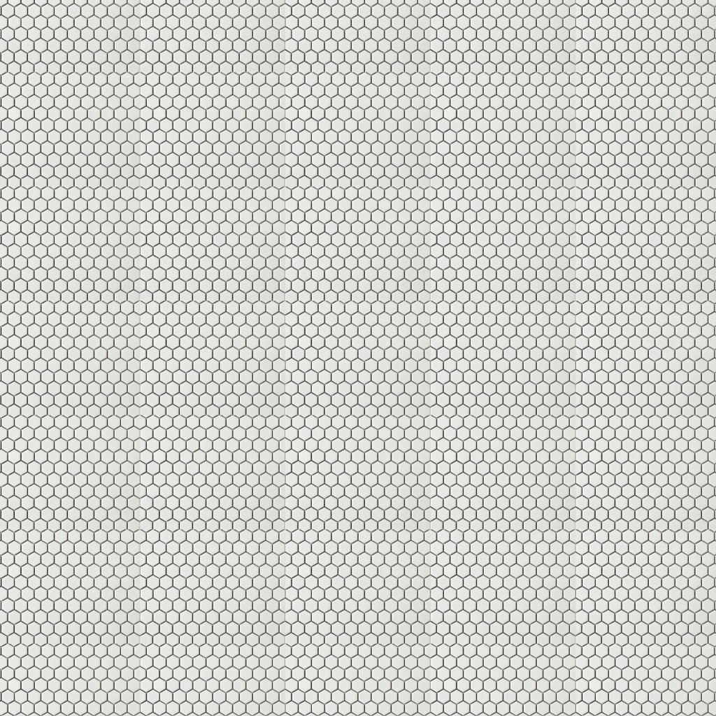 Marble Systems Alpine Glossy Penny Hexagon Porcelain Mosaic 10 1/8x11 5/8 - Alpine