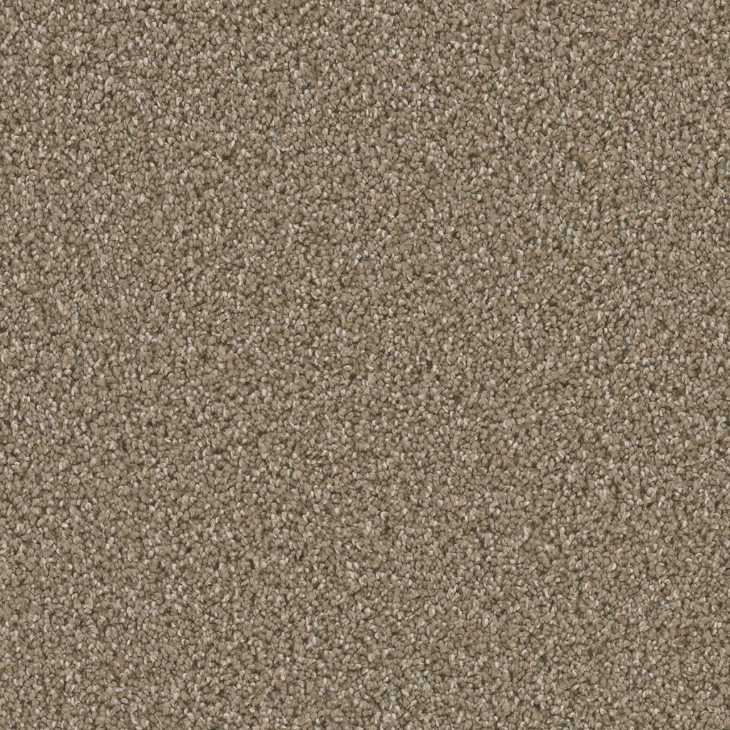 Dreamweaver DAZZLING - Acorn 858
