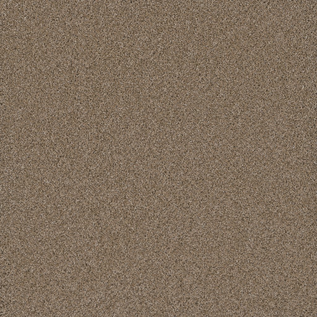 Dreamweaver COSMOPOLITAN II - Straw 551