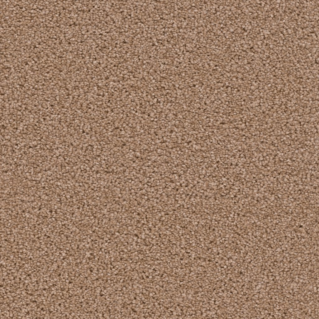Dreamweaver EXCEPTIONAL - Buff 720