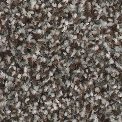 Karastan Magnetic Allure - Universal Umber