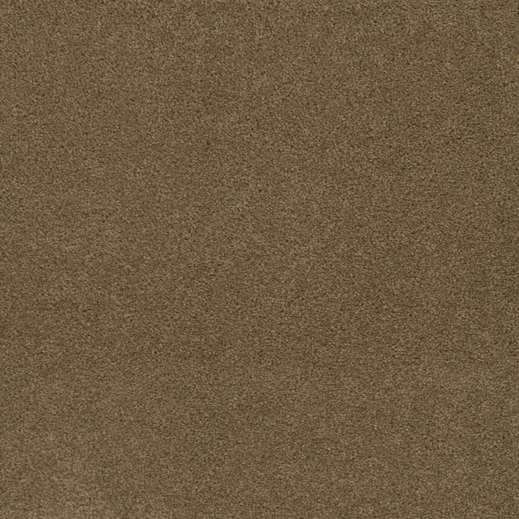 Dreamweaver SHOWTIME - Honey Beige 510