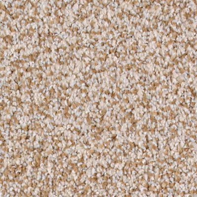 Karastan Pleasant Tones - Almond