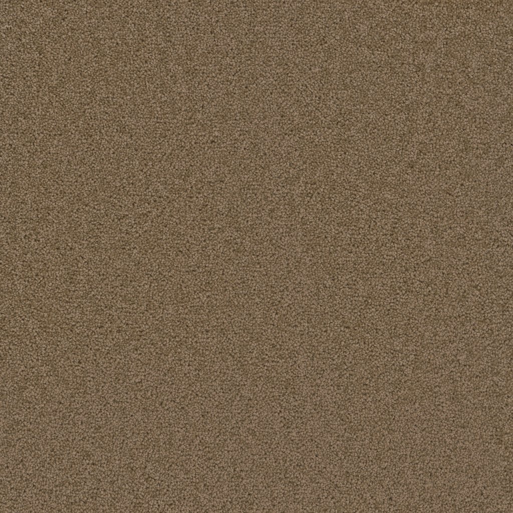 Dreamweaver BROADCAST - Honey Beige 510