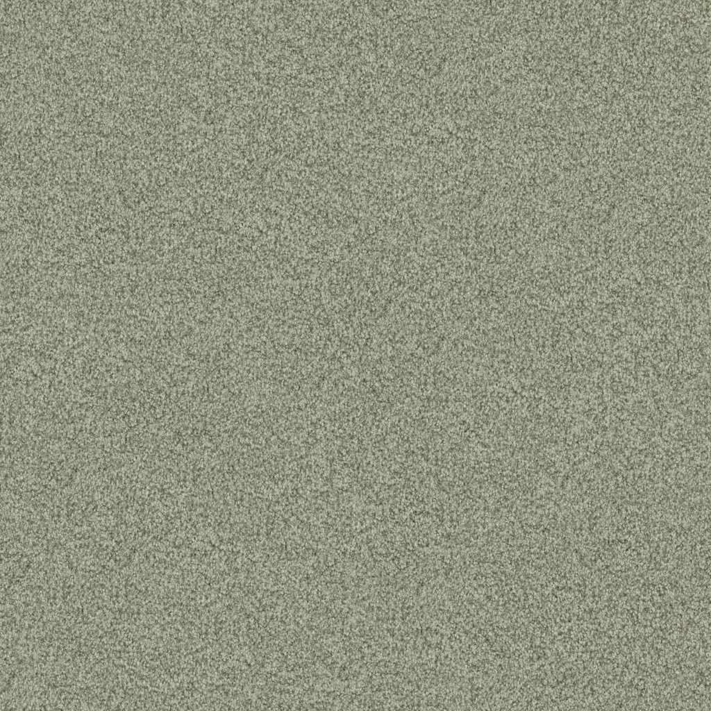 Masland Santa Rosa - Organic