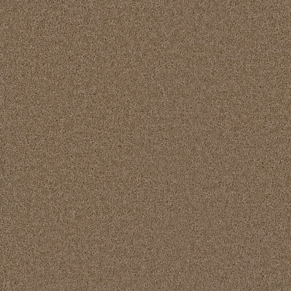 Dreamweaver BROADCAST - Sandstone 715