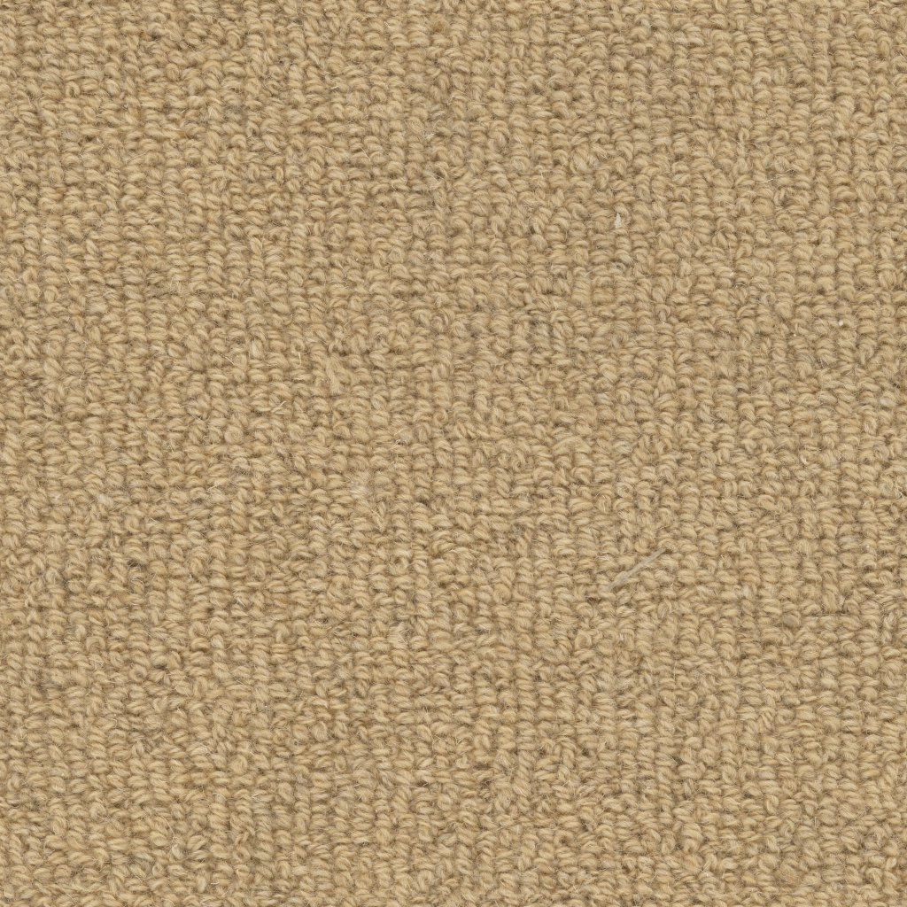 Masland Woven Road - Carina