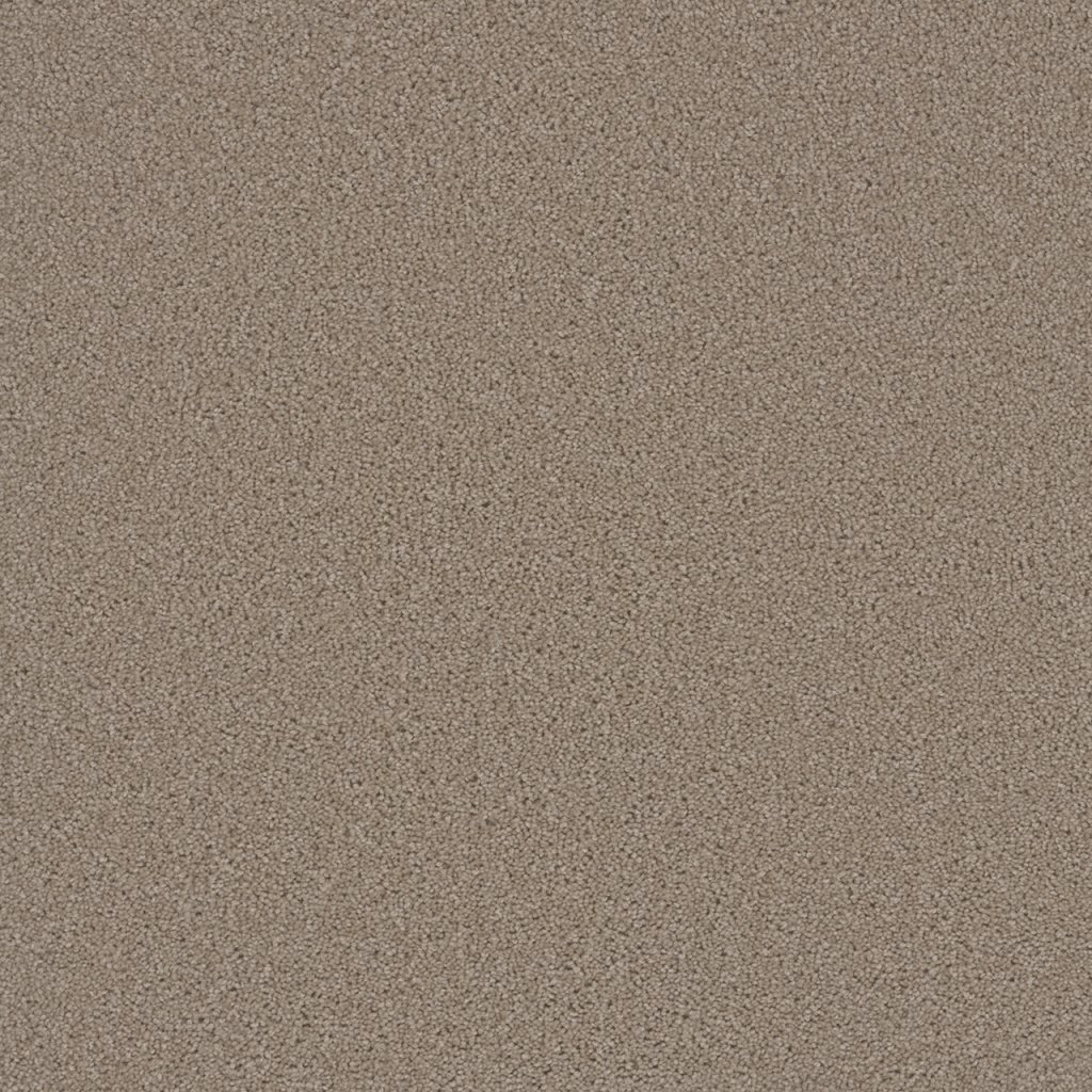 Dreamweaver BROADCAST - Flax Beige 535