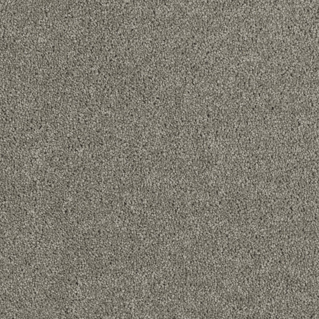 Dreamweaver HOLLYWOOD - Dark Platinum 889
