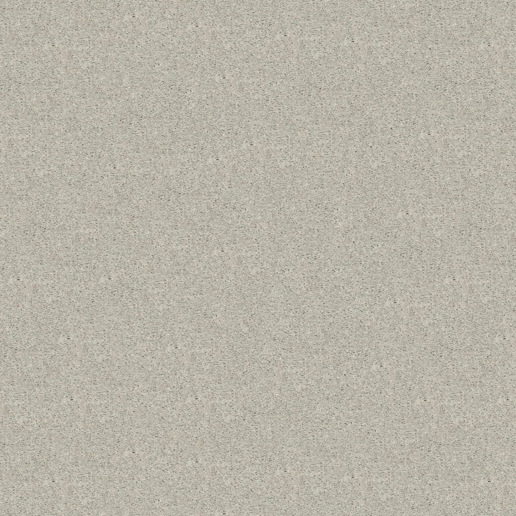 Shaw Floors Cabana Life (T) - Stainless