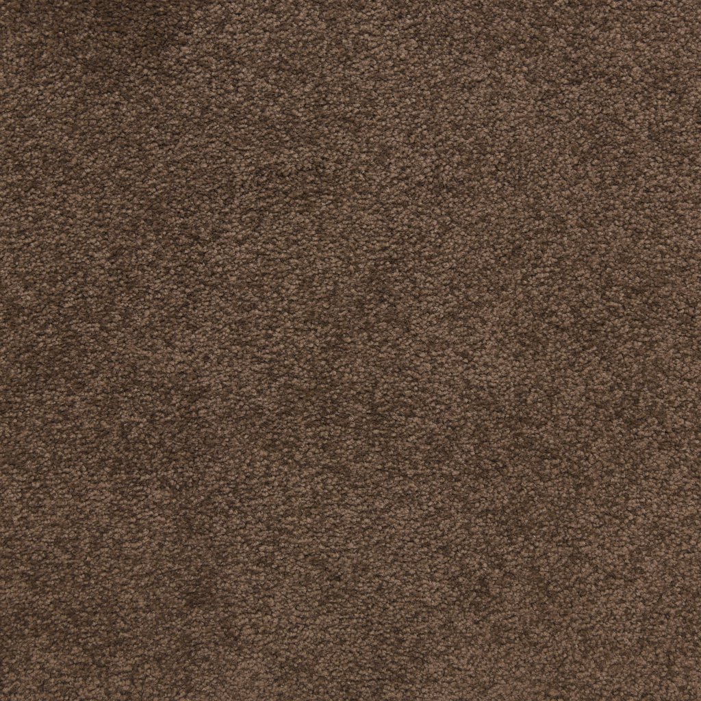 Masland Knockout - Coffee Bean