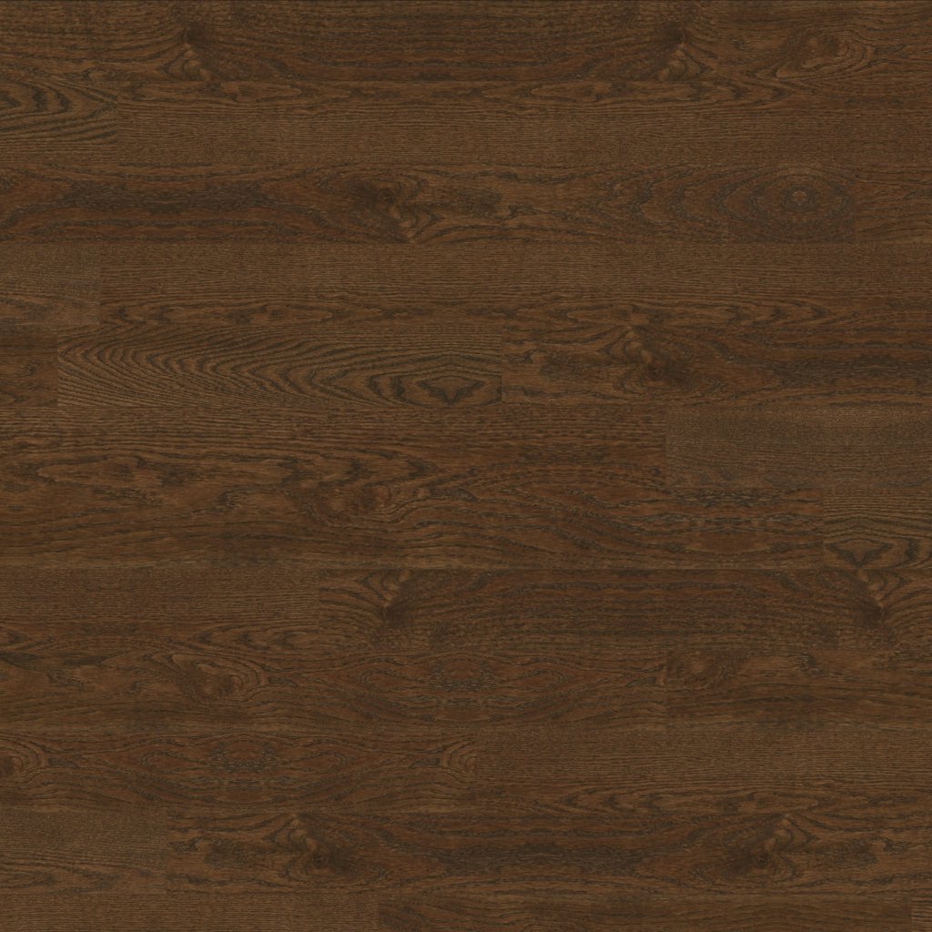 Robbins Tudor Brown 5 in