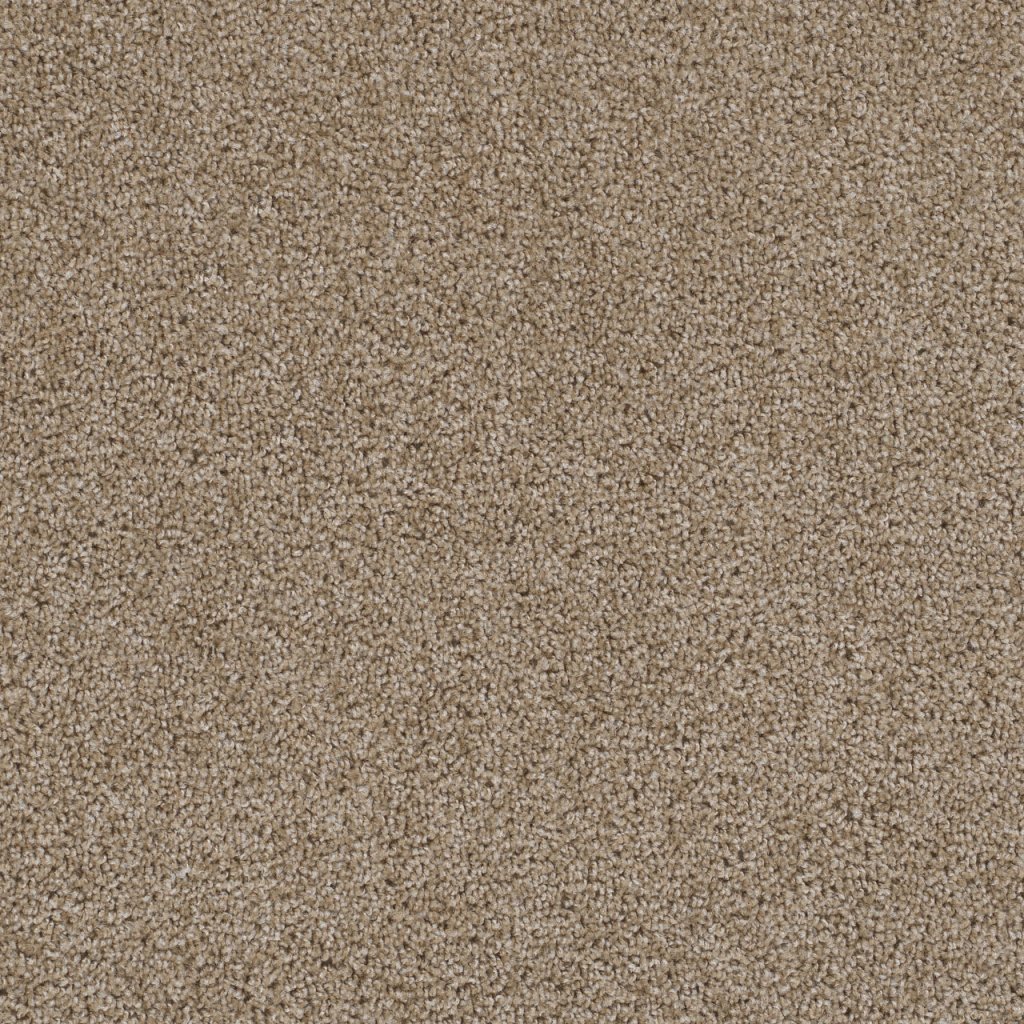 Dreamweaver FIRST STEP - Biscotti 642
