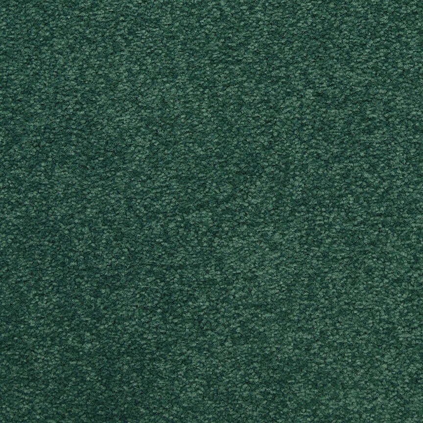 Masland Patriot - Visual