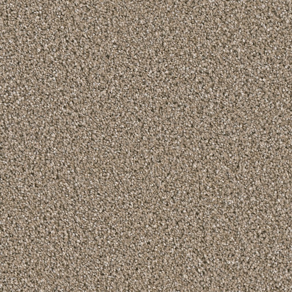 Dreamweaver GOTHEM - Acorn 858