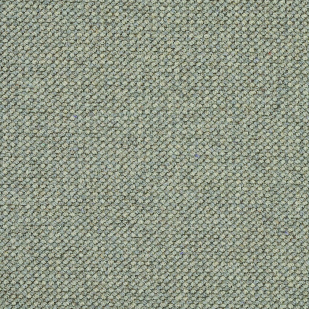 Masland Intention - Fossil
