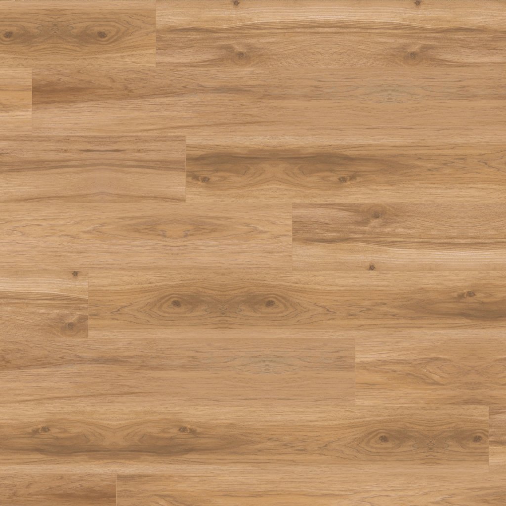 Mannington Atlas - Canyon