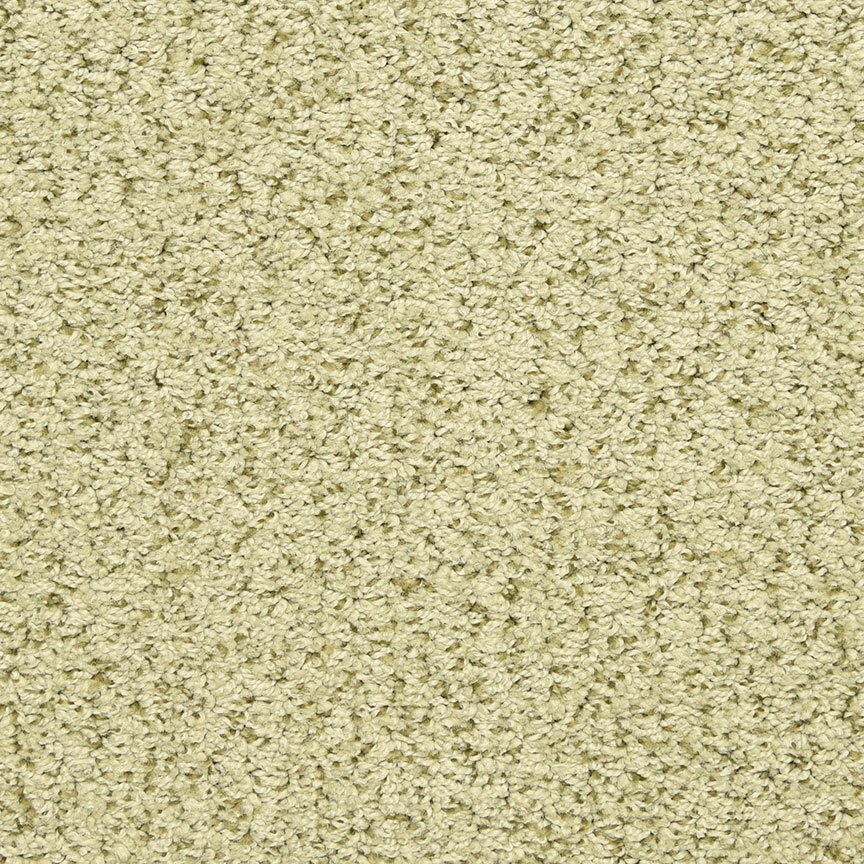Masland Sea Grass - Moss