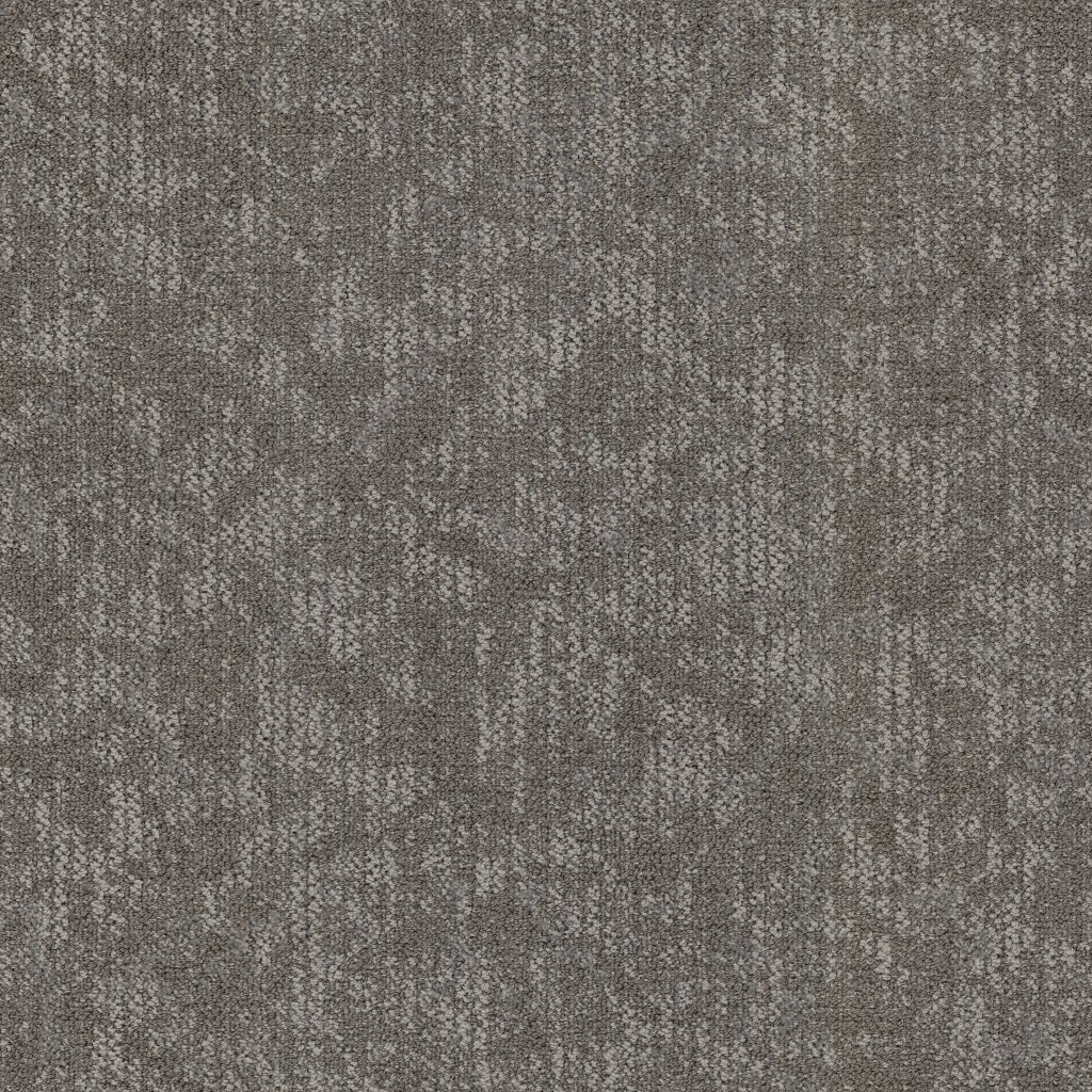 Masland Coast - Birch