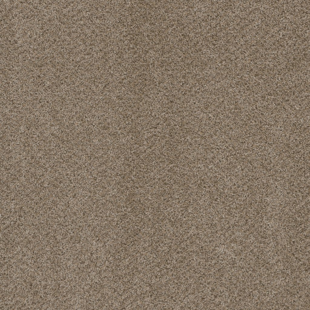 Dreamweaver SHOWTIME - Almond 782