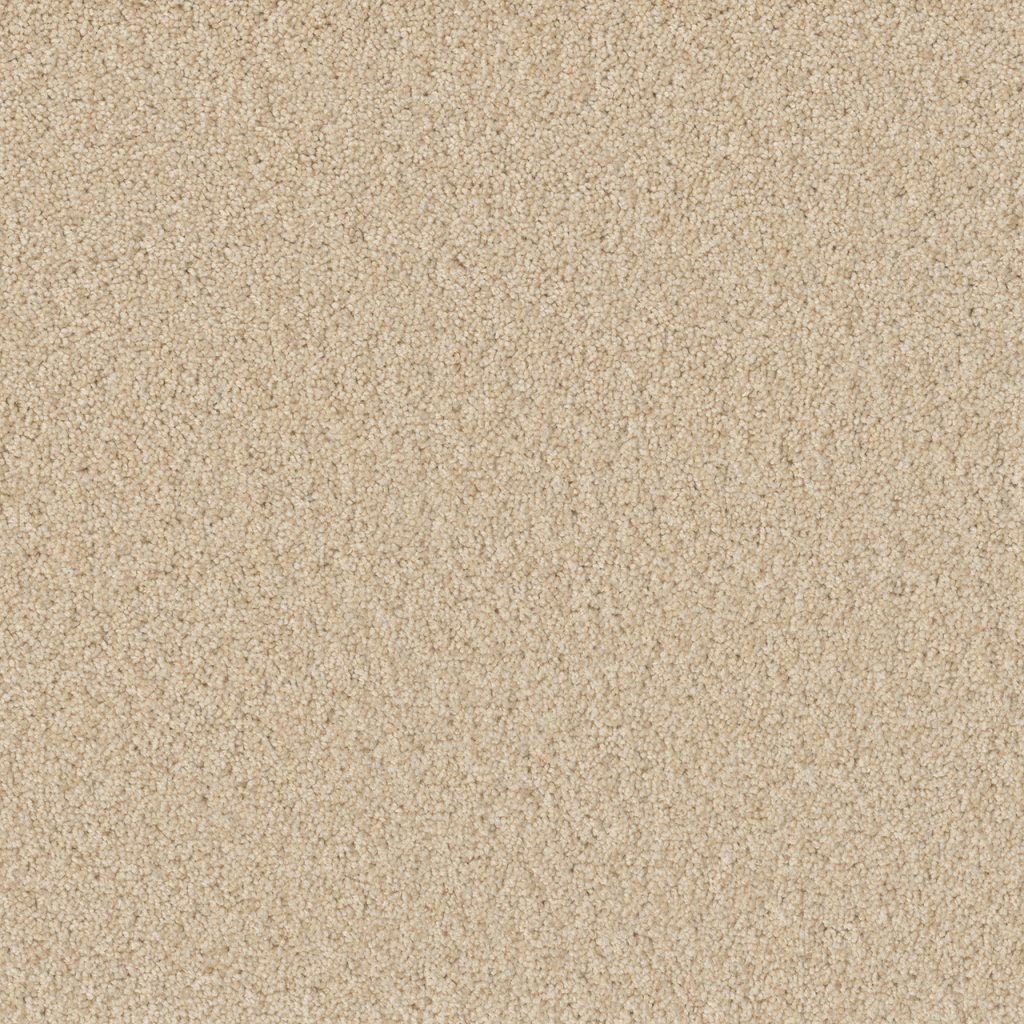 Dreamweaver BROADCAST PLUS - Classic Ivory 4193