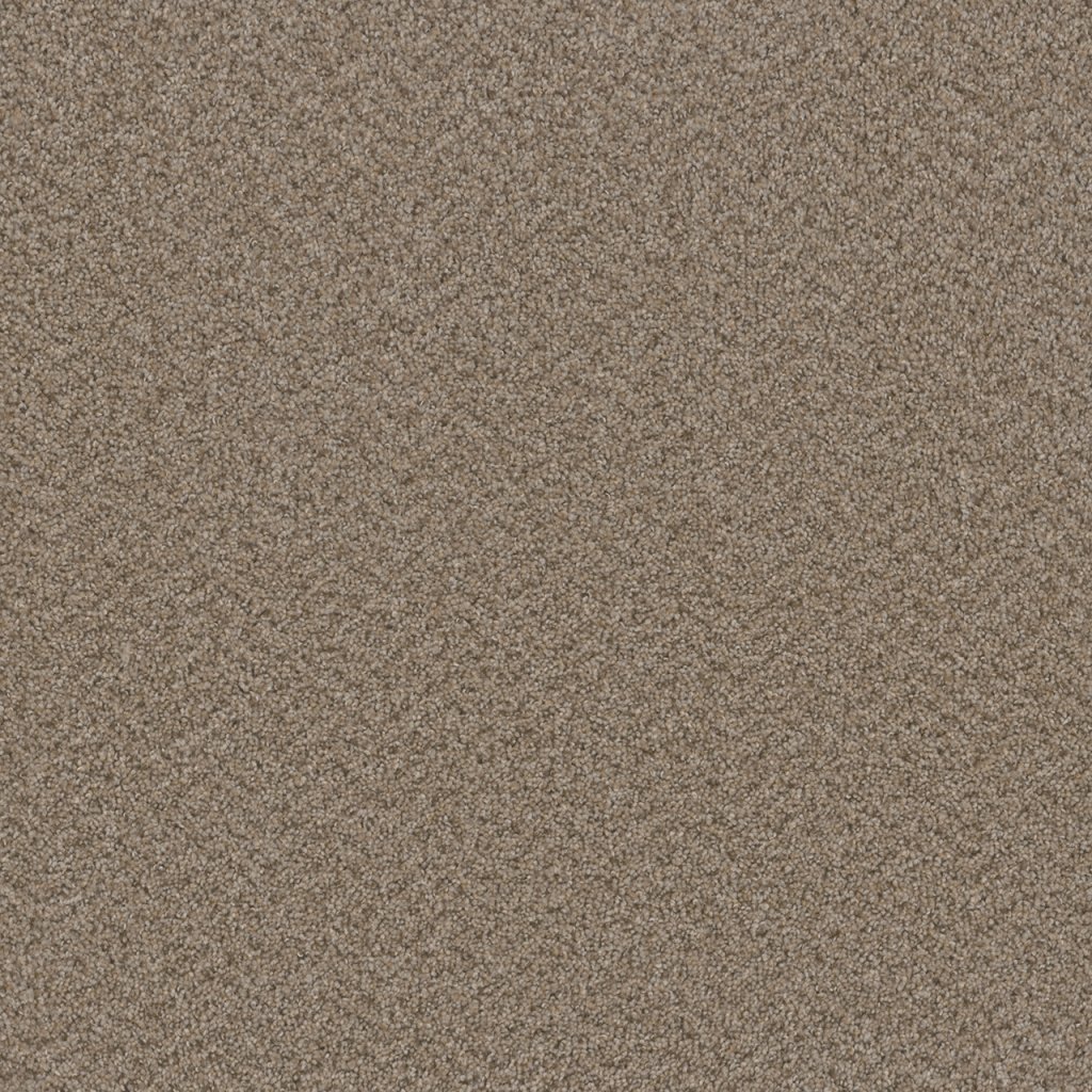 Dreamweaver BROADCAST - Almond 782