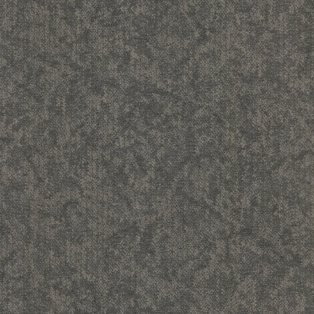 Masland Coast - Foothills